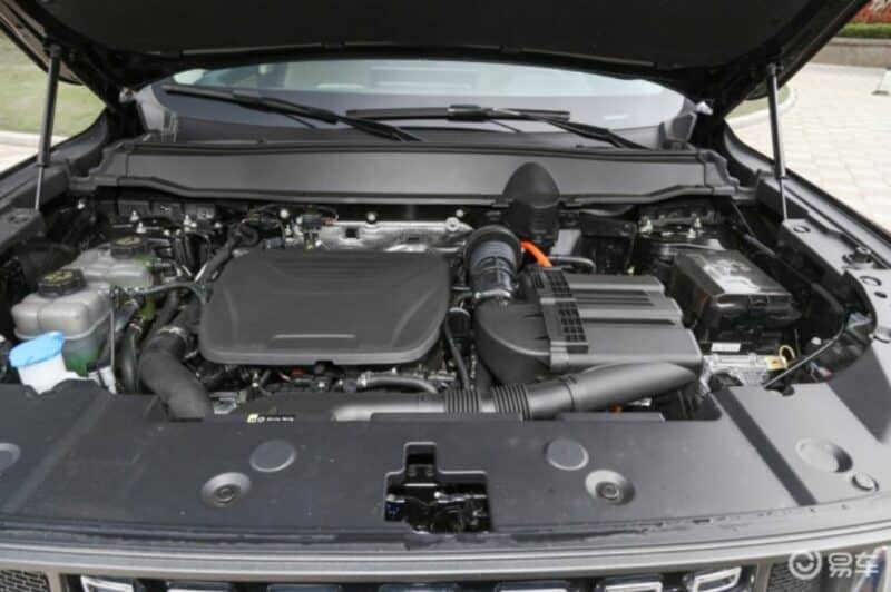 هاوال سگ بزرگ