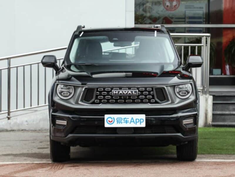 هاوال سگ بزرگ