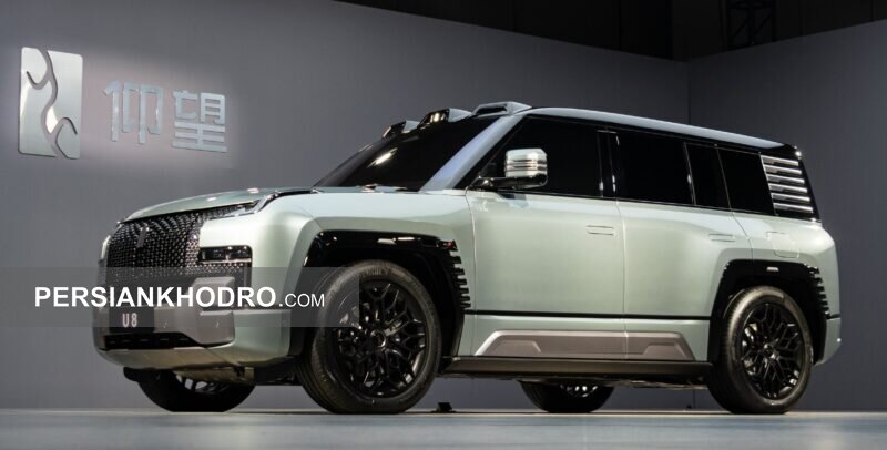 یانگ وانگ U8