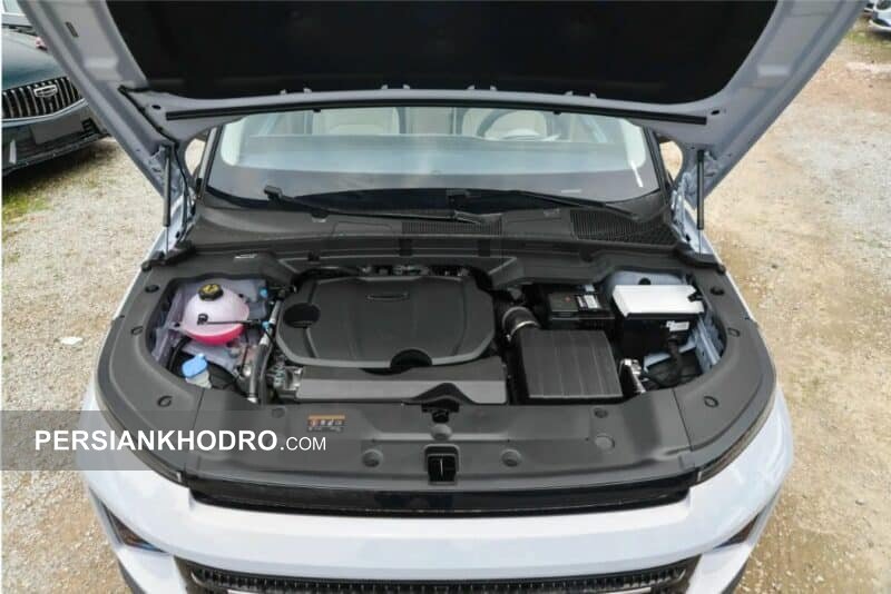 جیلی آیکون پروتاگونیست