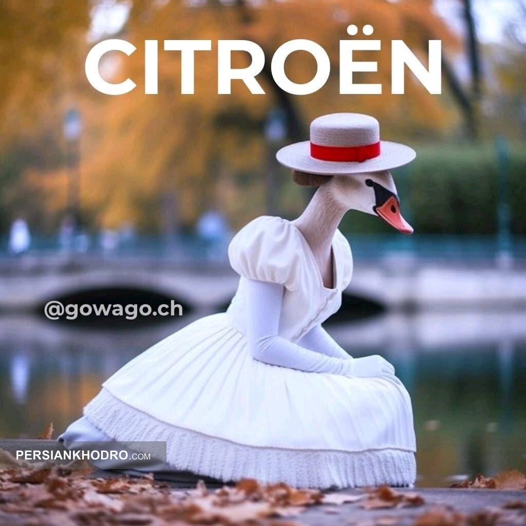 سیتروئن