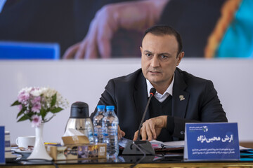 محبی‌نژاد اعلام کرد: معرفی عامل اصلی بحران و زیان سنگین صنعت خودرو