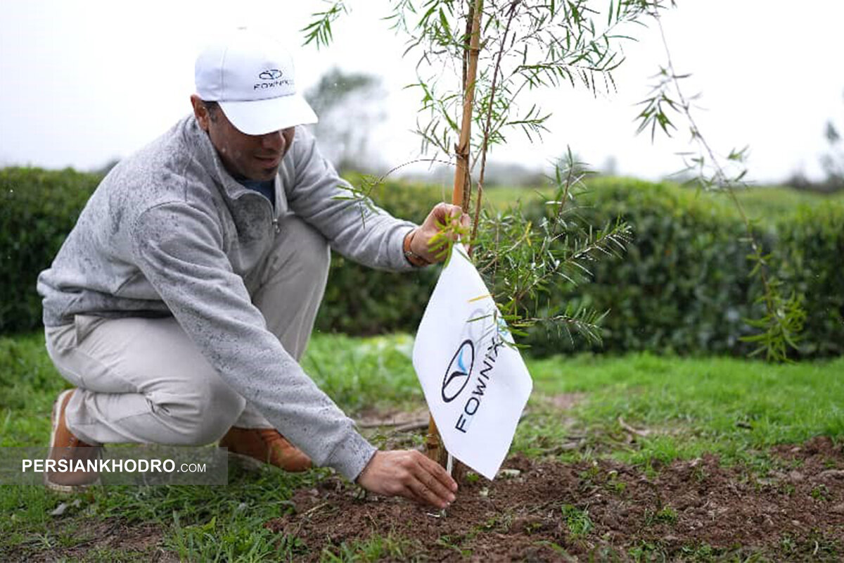 پویش درختکاری فونیکس و فونیکس NEV