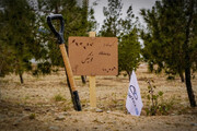 احداث رویشگاه فونیکس با مشارکت مردم