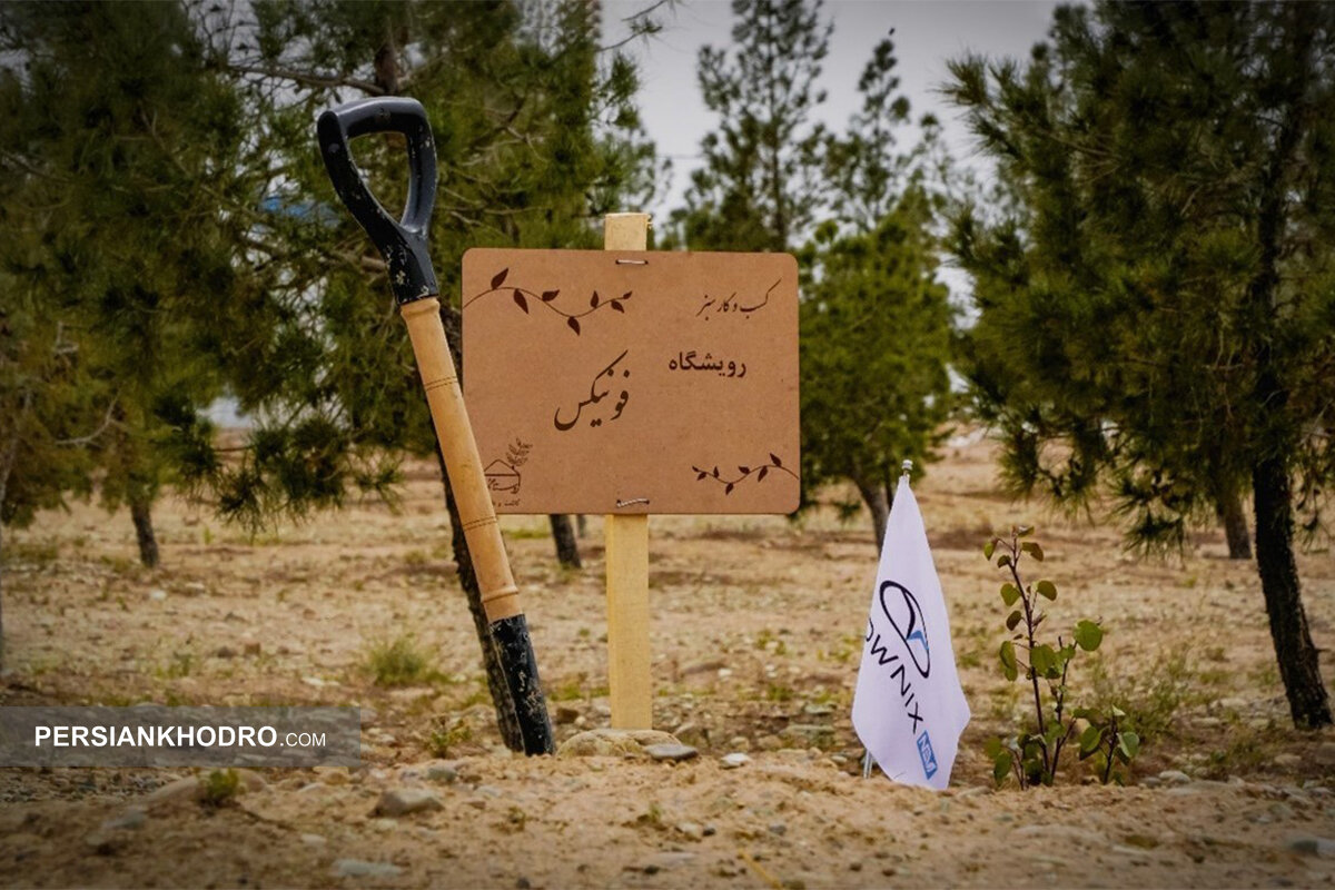 احداث رویشگاه فونیکس با مشارکت مردم