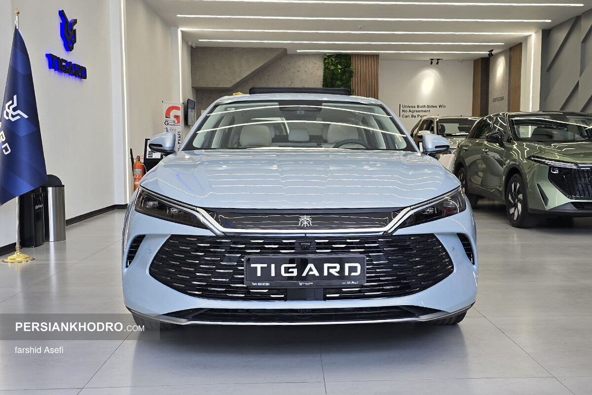 بی وای دی چین L