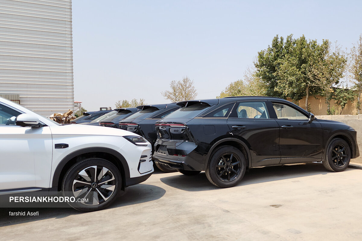 ونوسیا وی آن لاین 2025