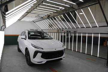 عرضه ۲۴۰۰۰ لاماری به بازار