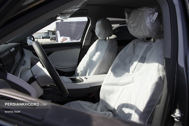 وویا فری 2025