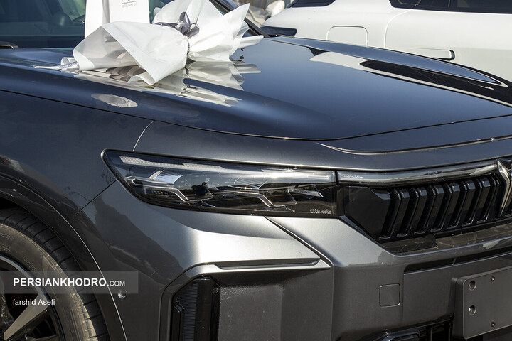 وویا فری 2025