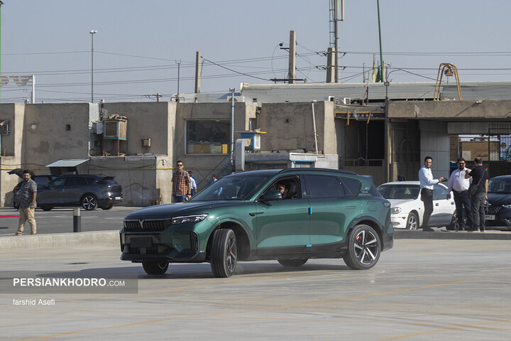 وویا فری 2025