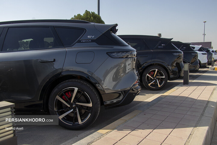 وویا فری 2025