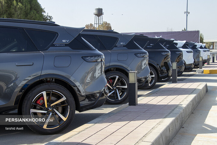 وویا فری 2025