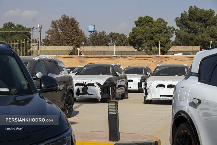 وویا فری 2025