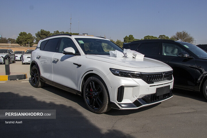 وویا فری 2025