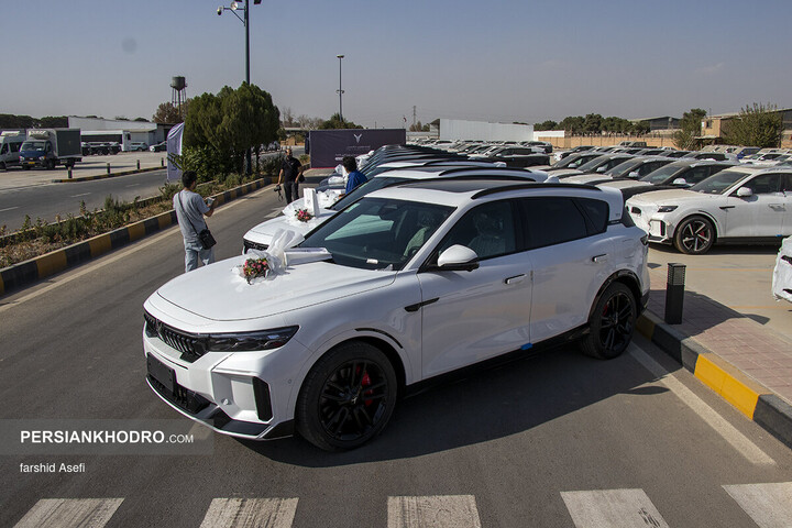 وویا فری 2025