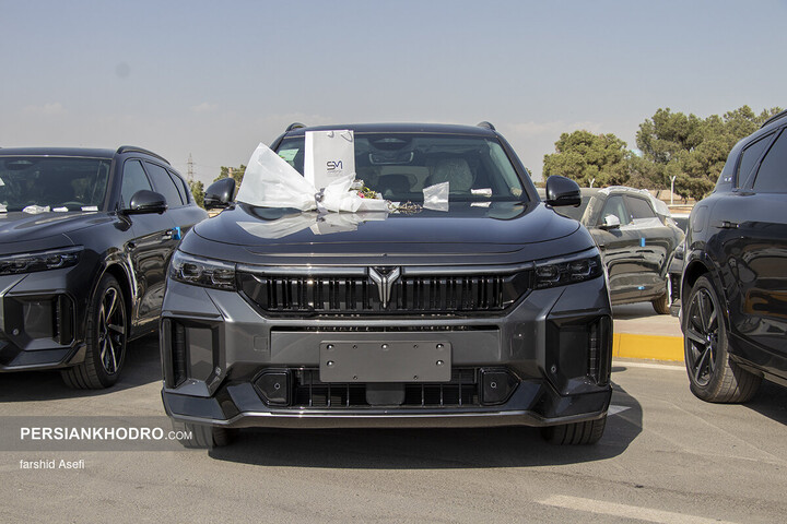 وویا فری 2025