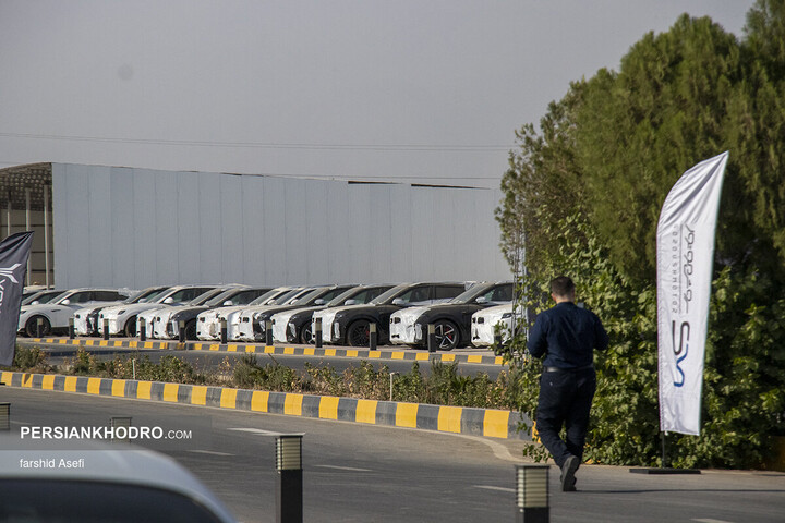 وویا فری 2025