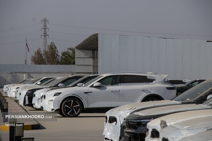 وویا فری 2025