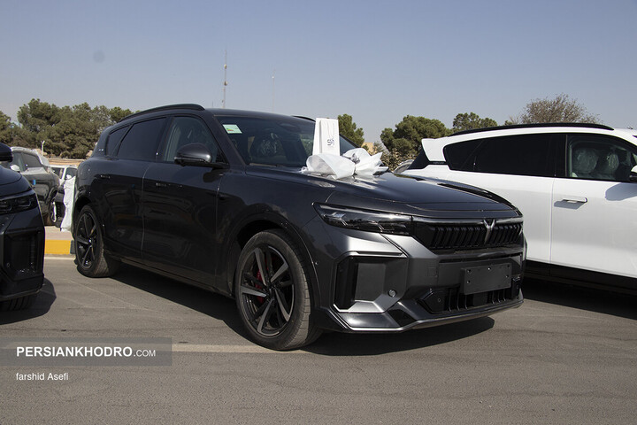 وویا فری 2025