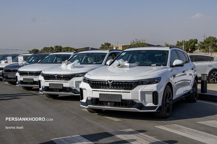 وویا فری 2025