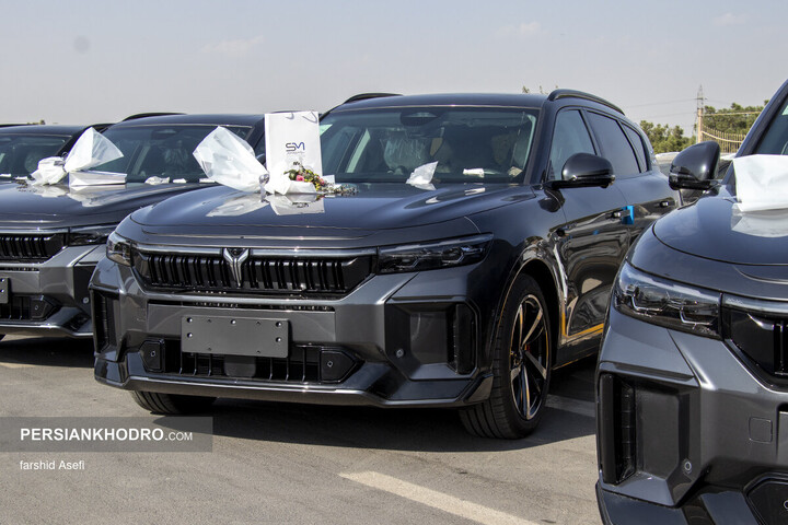 وویا فری 2025