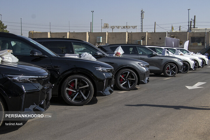 وویا فری 2025