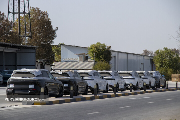 وویا فری 2025