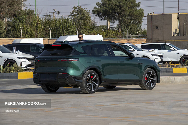 وویا فری 2025