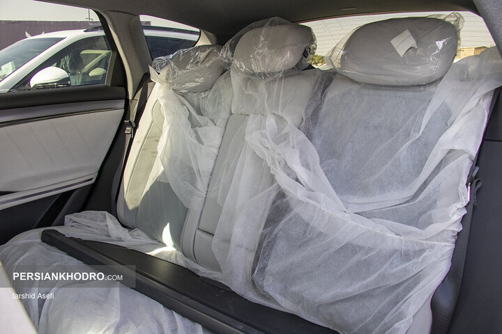 وویا فری 2025