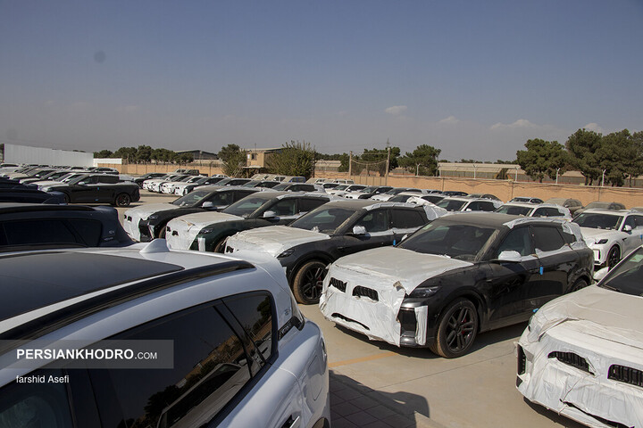 وویا فری 2025