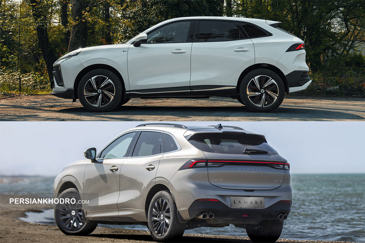 لاماری ایما و لاماری ایما هیبرید