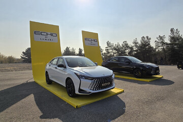 جزئیات موتور ترند جهانی در لاماری اکو