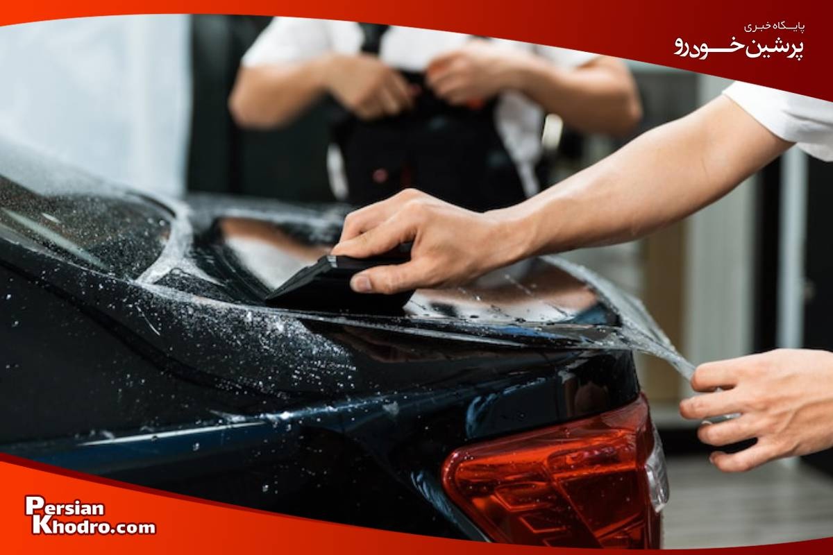 بهترین برند بادی فنس