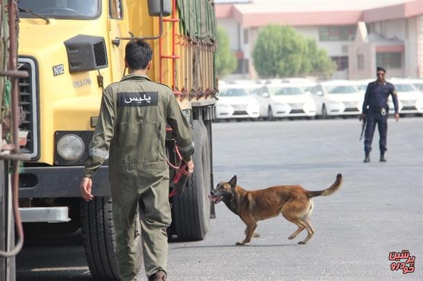 بنادر و پایانههای مرزی