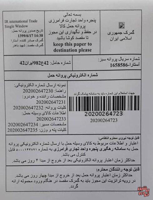 ورود خودرو فراری به گمرک