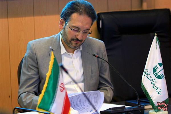 مجوز خودرو شاهین، پلاک گذاری شاهین