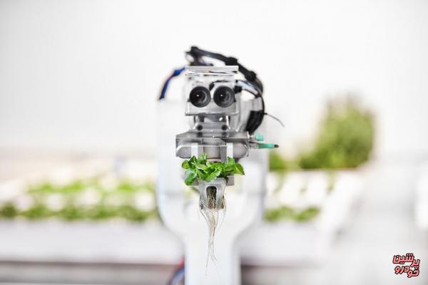 پرورش سبزیجات در مزرعه رباتیک