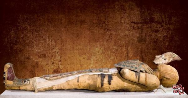 مشاهده رگ‌های مومیایی‌ با کمک فناوری