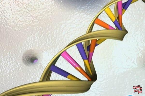 پیش‌بینی طول عمر با بررسی DNA