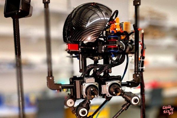 محققان ایرانی ربات پرنده و دونده ساختند