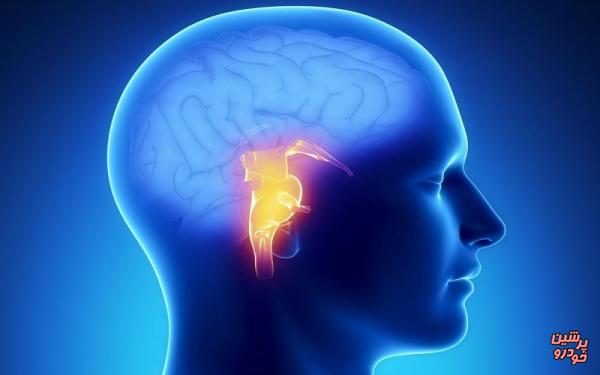 قرص‌های جدیدی برای ترمیم آسیب مغزی