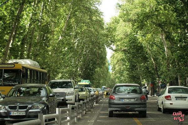 کاشت ۱۱۰۰ درخت چنار کهنسال در خیابان ولیعصر