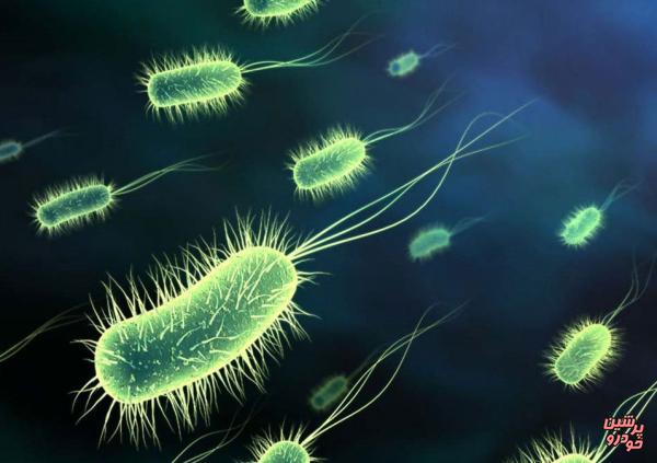حیرت دانشمندان از رفتار موذیانه باکتری ها