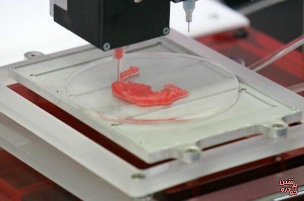 تولید گوش زنده با چاپگر سه بعدی 