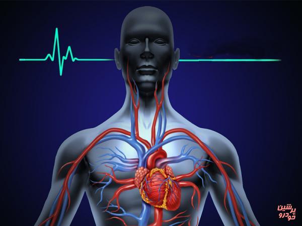 ساخت ضربان‌سازهای مصنوعی قلب