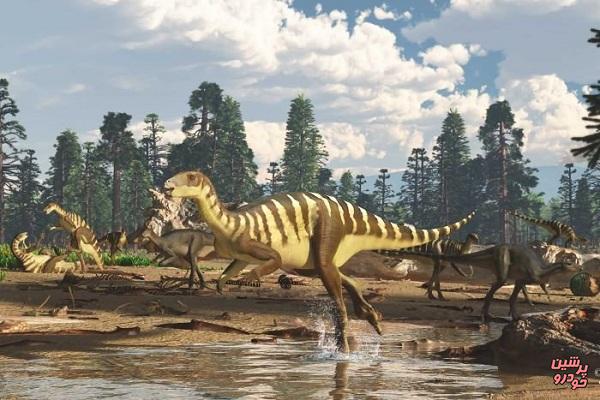 کشف فسیل ۱۲۵ میلیون ساله دایناسور در استرالیا