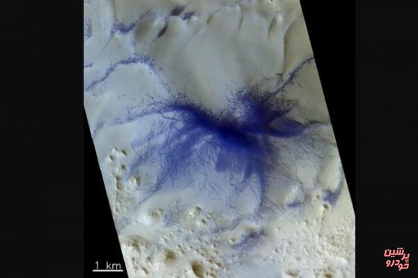 پیدایش یک عنکبوت آبی روی سطح مریخ!