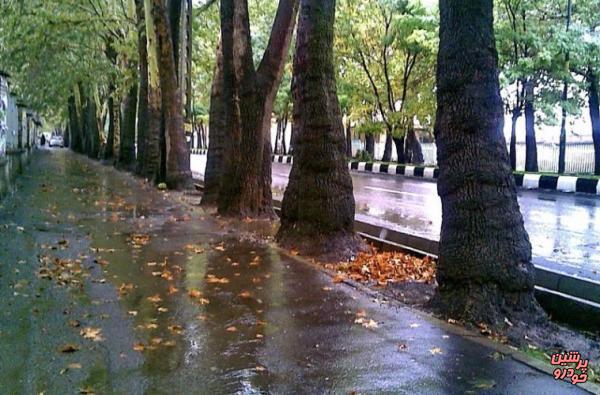 تشدید بارش‌ در تهران از بعدازظهر امروز