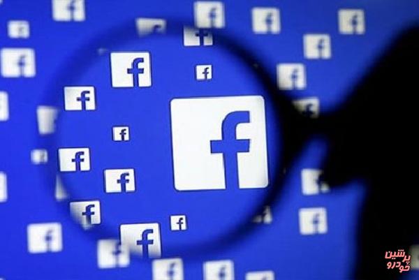 کشف ۷۴ گروه مجرمانه سایبری در فیس بوک